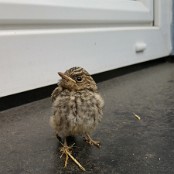 HB = 0,5,-6 FN=0 lidx=277.00   FM0   FC110110010:zzzzzz0 c115 078043874441663838014c0 bac2fd de ac91970 fe c28170411e cac c4d159 b3c 99a d0 5d2 621 be 898 ac4 ac aba15cf 9a 8ea1112 be 768 cc9 c7 d301e54 d0 fb92675 c7 ed0218a